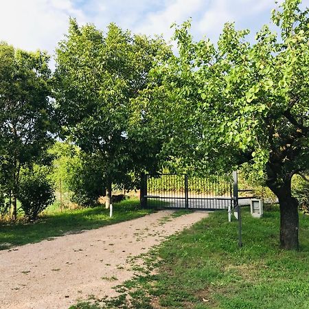 Una Casa Di Campagna Доссобуоно Экстерьер фото