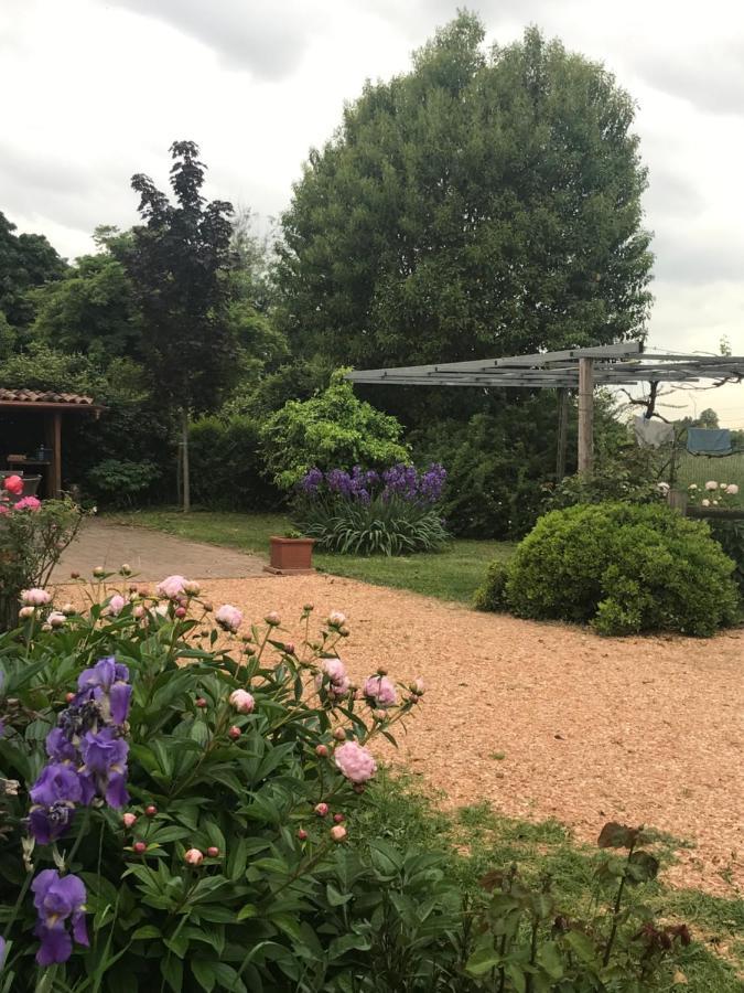 Una Casa Di Campagna Доссобуоно Экстерьер фото