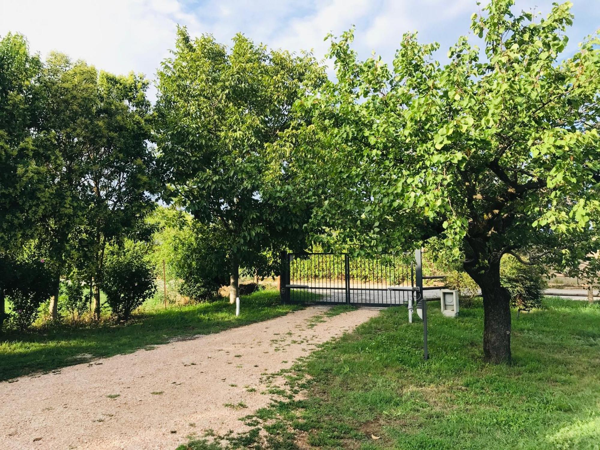 Una Casa Di Campagna Доссобуоно Экстерьер фото